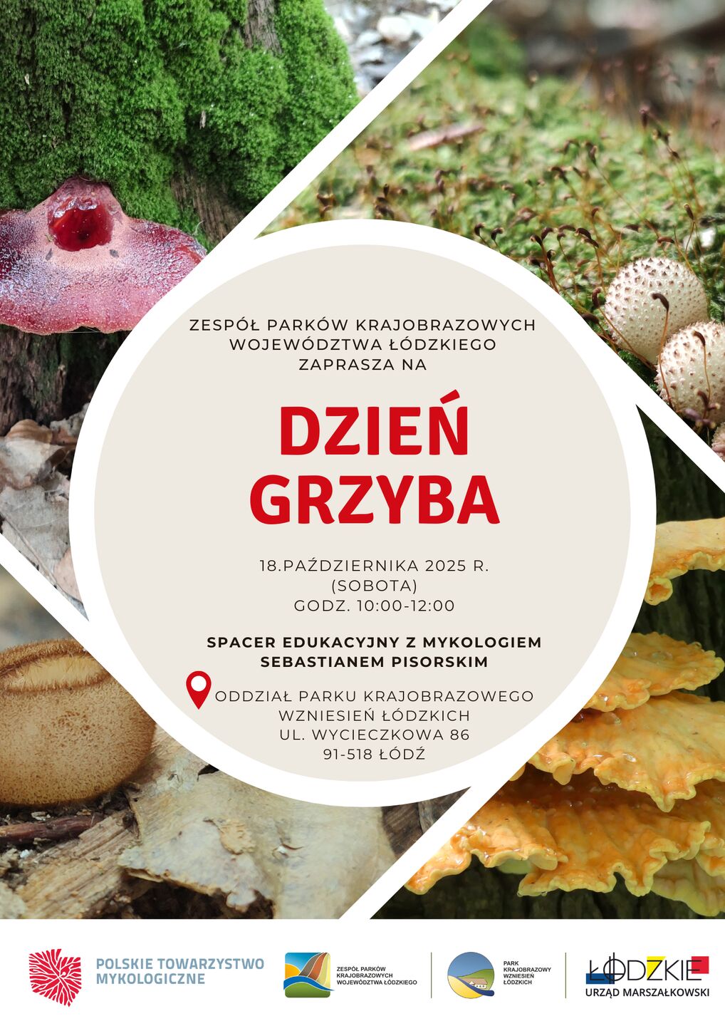 dzien_grzyba_nowy_plakat.jpeg