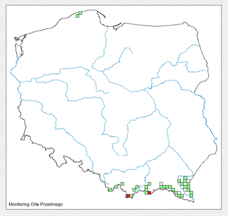 Screenshot 2026 04 27 at 13 03 38 Monitoring Orła Przedniego Monitoring Ptaków Polski